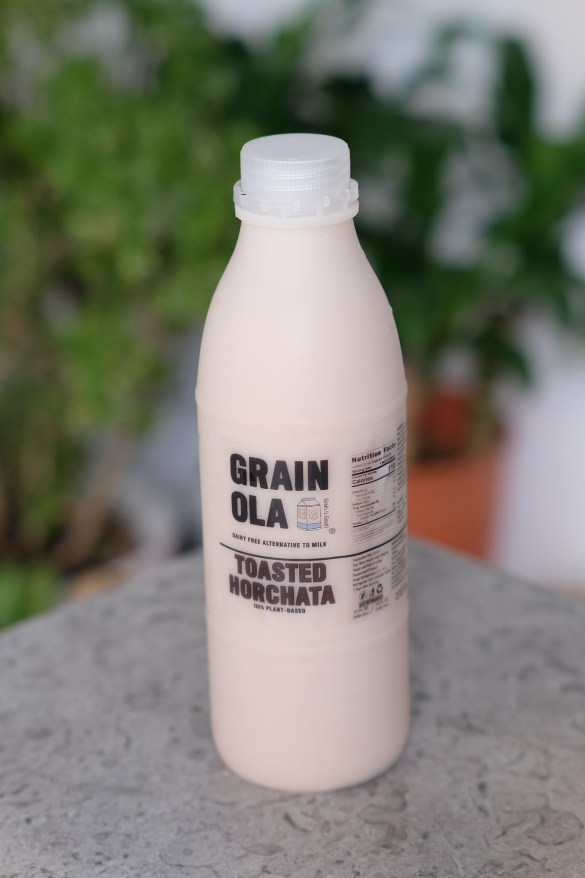 Toasted Horchata